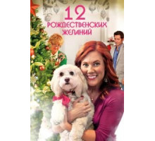 12 Рождественских желаний (2011)
