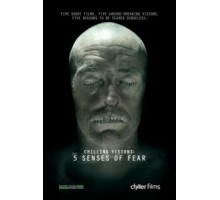 5 чувств страха (2013)