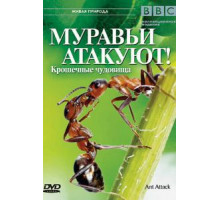 BBC: Муравьи атакуют (2006)