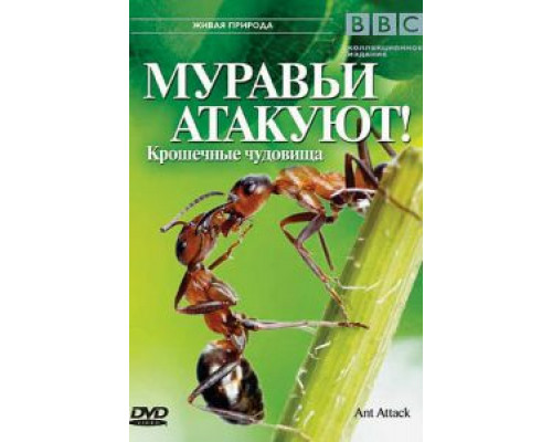 BBC: Муравьи атакуют (смотреть онлайн)