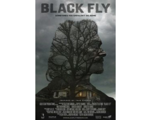 Black Fly (смотреть онлайн)
