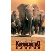 Африка – королевство слонов (1998)