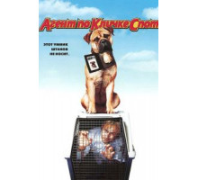 Агент по кличке Спот (2001)