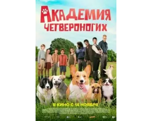 Академия четвероногих (смотреть онлайн)