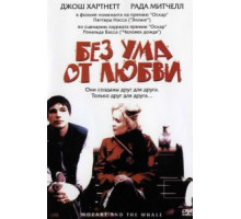 Без ума от любви (2005)