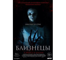 Близнецы (2017)
