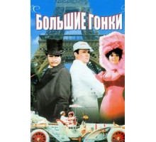 Большие гонки (1965)