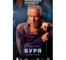 Буря (2010)