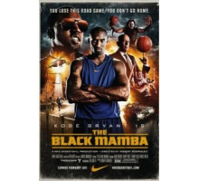 Черная мамба (2011)