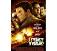 Чужак в раю (2013)