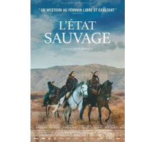 Дикий штат (2019)