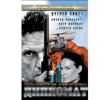 Дипломат (2009)