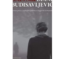 Дневник Дианы Будисавлевич (2019)