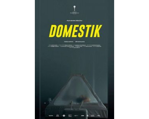   Домашний режим (смотреть онлайн)