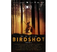 Дробь (2016)