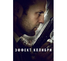 Эффект колибри (2012)