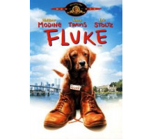 Флюк (1995)