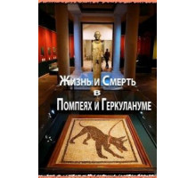 Жизнь и смерть в Помпеях и Геркулануме (2013)