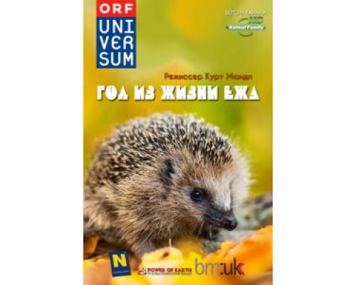 Год из жизни ежа (смотреть онлайн)