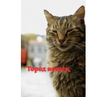 Город кошек (2016)