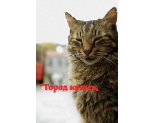   Город кошек (смотреть онлайн)