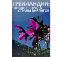 Гренландия: Дикая природа страны викингов (2005)