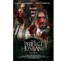 Идеальный муж (2014)