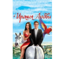 Ирония любви (2010)
