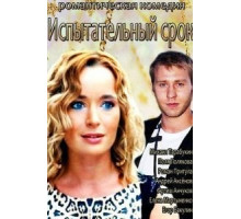 Испытательный срок (2014)
