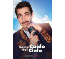 Как с неба свалился (2019)