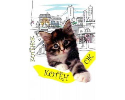   Котенок (смотреть онлайн)