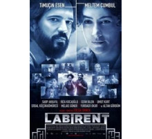Лабиринт (2011)