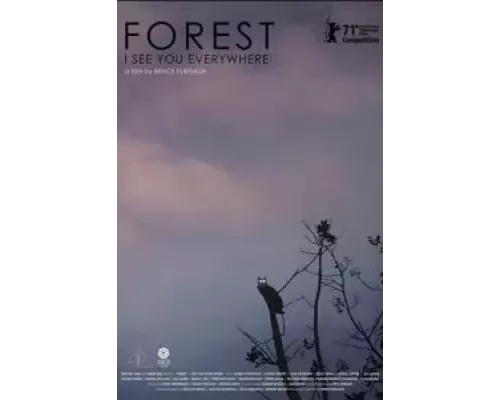 Лес: Вижу тебя повсюду (смотреть онлайн)