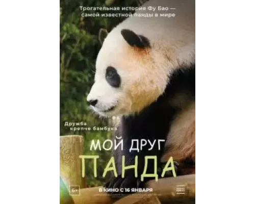 Мой друг панда (смотреть онлайн)