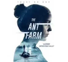 Муравьиная ферма (2022)