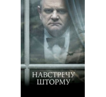 Навстречу шторму (2009)