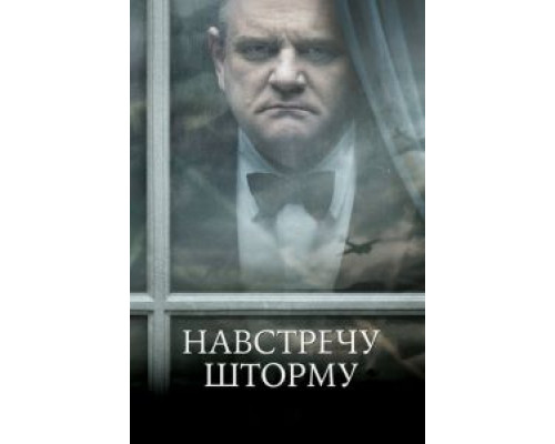 Навстречу шторму (смотреть онлайн)