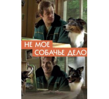 Не моё собачье дело (2020)