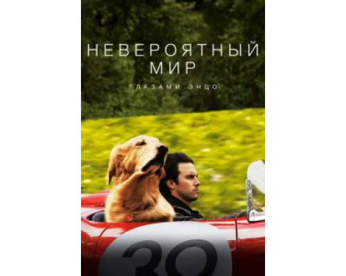 Невероятный мир глазами Энцо (смотреть онлайн)