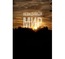 Невидимый мир (2012)