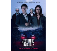 Невидимый свидетель (2018)