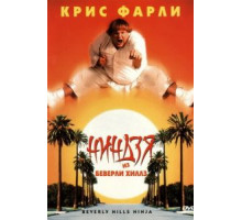 Ниндзя из Беверли Хиллз (1997)