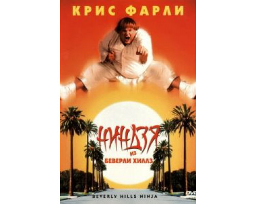 Ниндзя из Беверли Хиллз (смотреть онлайн)