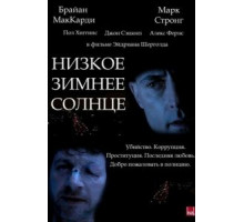 Низкое зимнее солнце (2006)