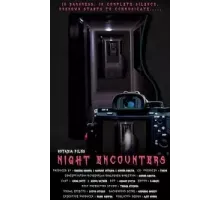 Ночные встречи (2023)