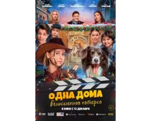 Одна дома: Великолепная пятерка (смотреть онлайн)
