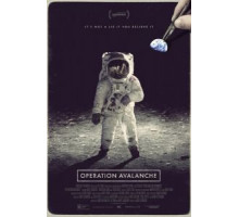 Операция «Лавина» (2016)