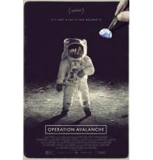 Операция «Лавина» (2016)