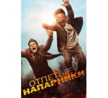 Отпетые напарники (2016)