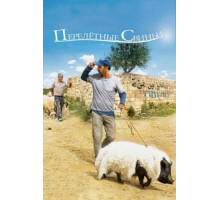 Перелетные свиньи (2011)